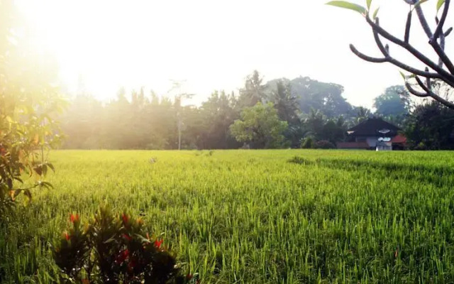 Bening Bungalow
