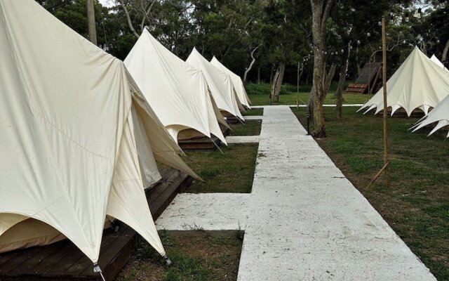 Touching camping