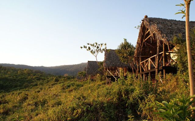 Crater Forest Tented Camp