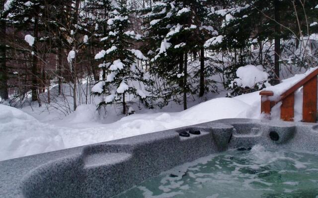 Chalets Alpins - 38 Chemin des Skieurs