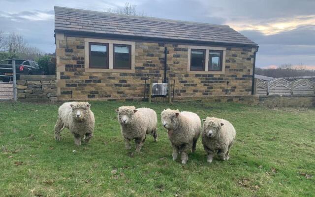 Brand new purpose built annex :- The Stables