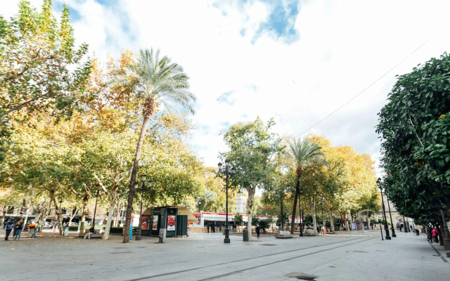 AlohaMundi Zaragoza IV