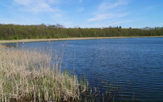 Small House on the Lake