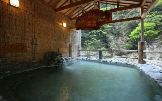 Hotel Iyaonsen