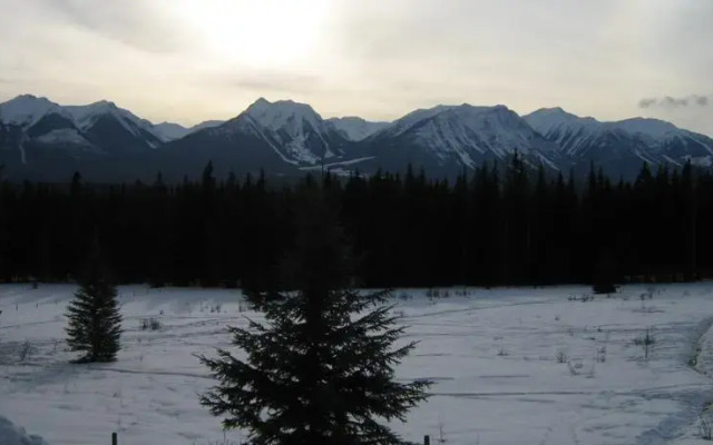 Bear Corner Adventures Bed & Bale