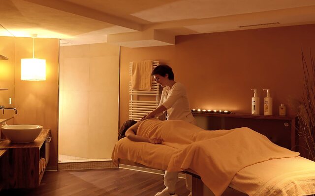 Hotel Spinne