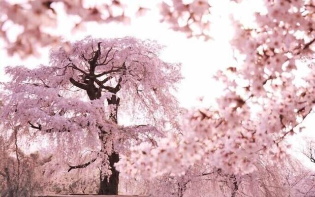 Sanco Inn Kyoto Hachijoguchi