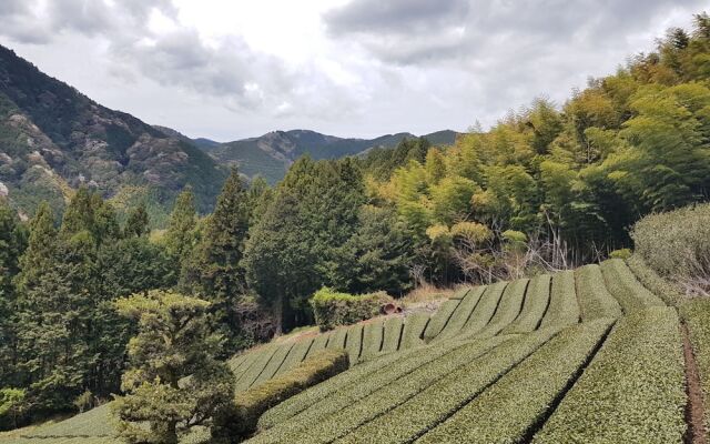 Yui Valley