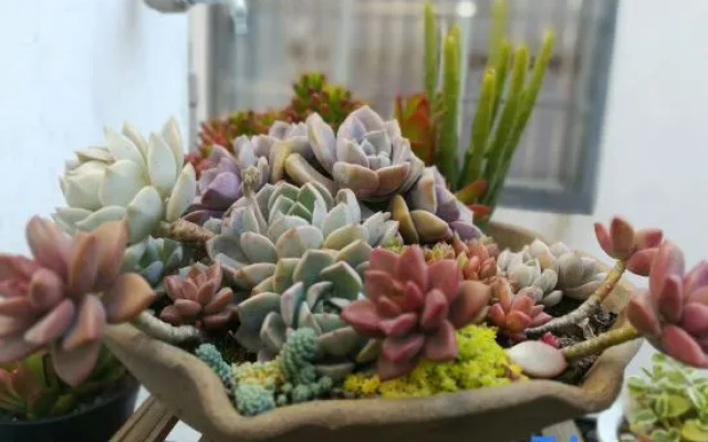 Yunbu Outdoor Themed Inn