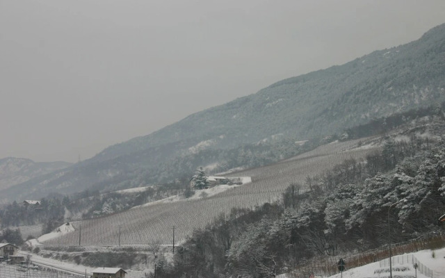 Agriturismo Cobei
