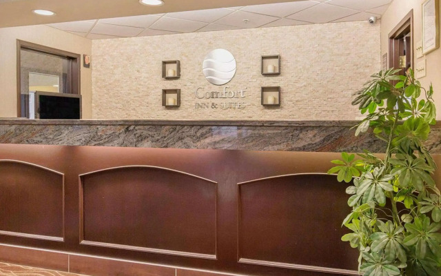 Comfort Inn & Suites University