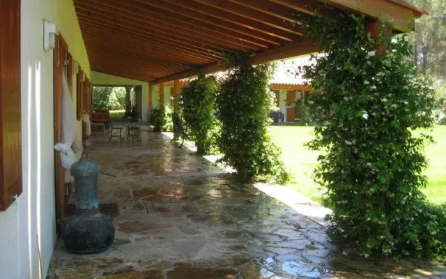 Brejo Da Amada