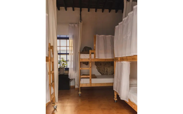 Ashavana Nest Hostel