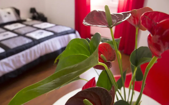 Season's Hostel & Guest House