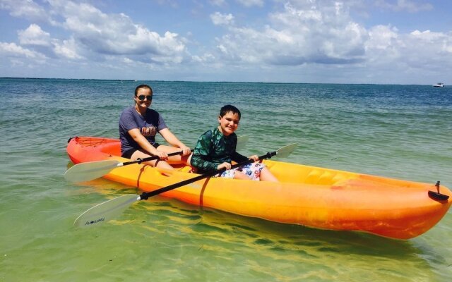 315 - Sea Turtle #82