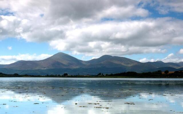 Forest View - Castlewellan