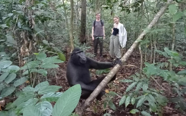 Tangkoko Jungle Homestay By OYO