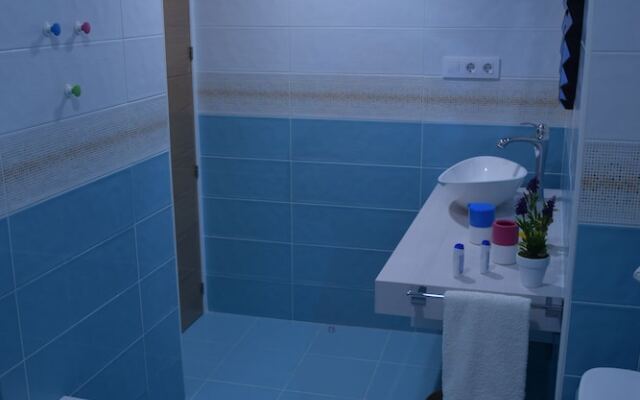 Apartamentos Coso de San Albin