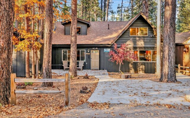 THE Teddy Bear Chalet #2257