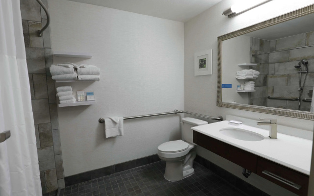 Hampton Inn Dyersburg