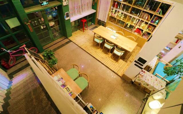 meeting the cats hostel