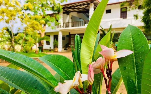 Saman Resort