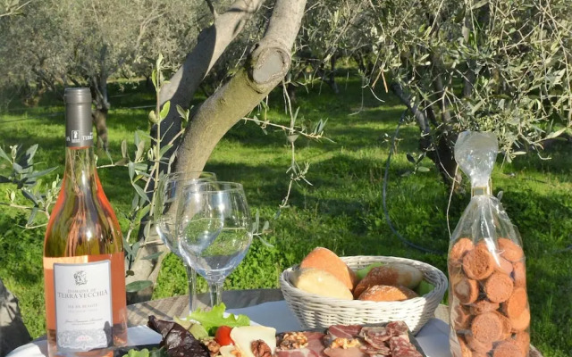 Camping Le Sagone