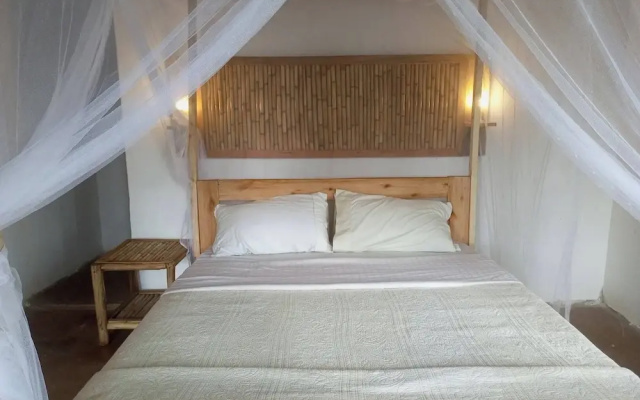 Little Monkey Camp