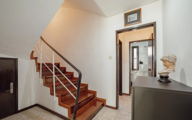 Typical House With Terrace by Homing