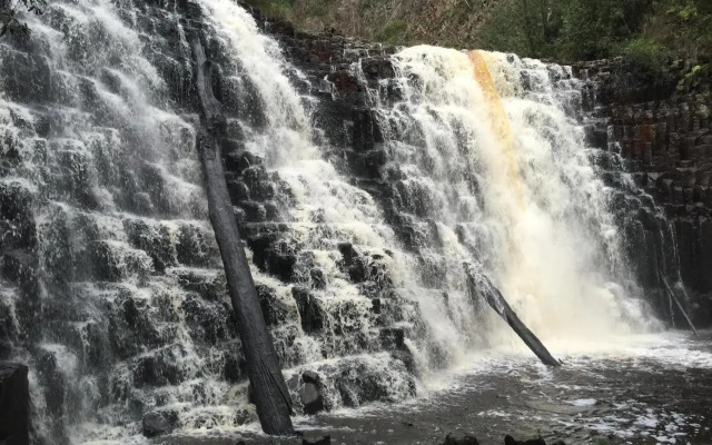 Penguin Seaside Homestay