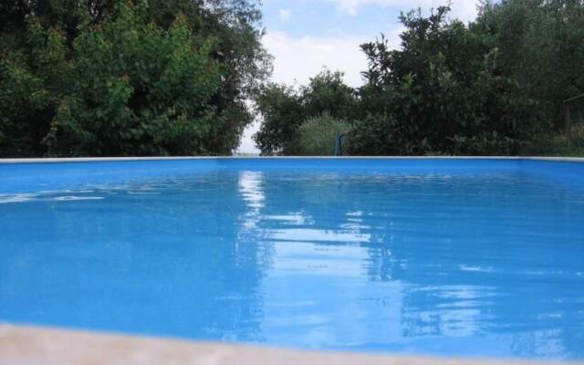 Biofarm Podere Ficareto