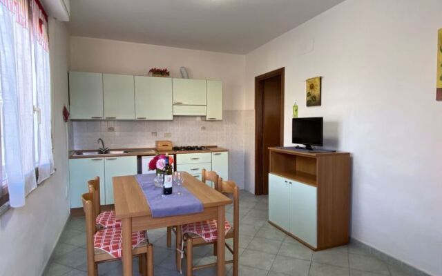 Palazzeta III (VAD151)