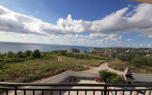 Villa Byala Grape House