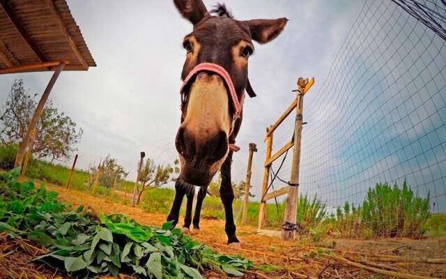 Agricampeggio Maccari