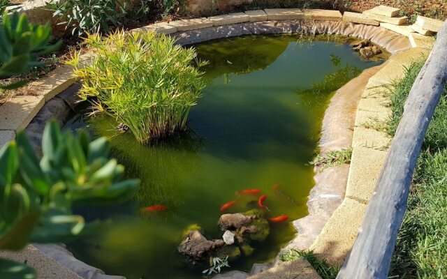 Casa Vacanza Terrarossa