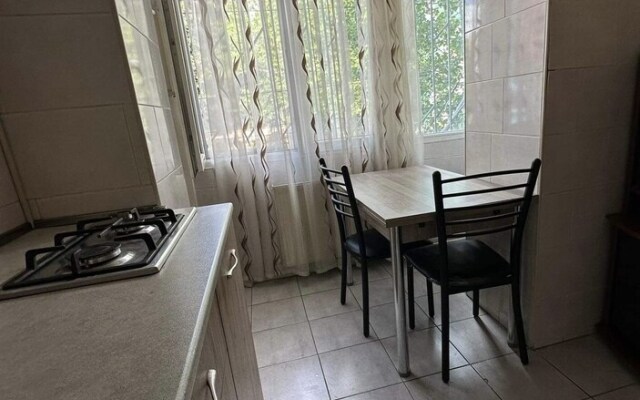Flat in center of the city
