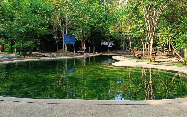 Brown Andaman  Krabi
