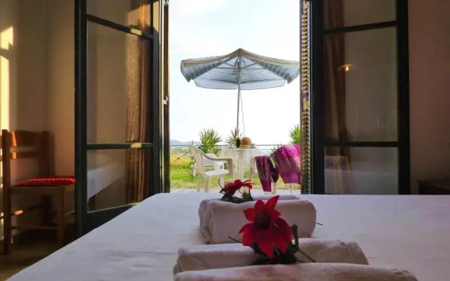 Garden Overlooking the Sea Near the Beaches