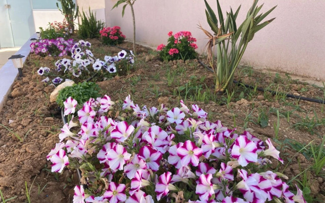 Sarpidon Suites