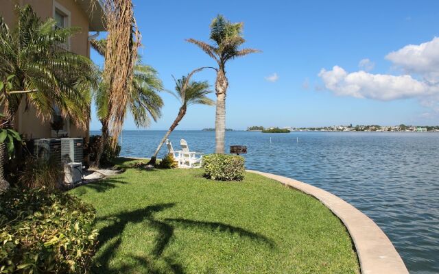 Crabby Pelican of Coconut Villas of Dunedin - Two Bedroom Condo