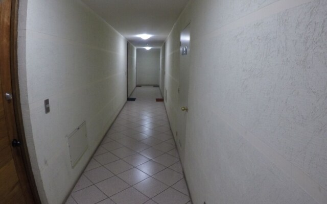 Downtown Apartments Santiago