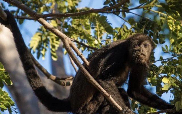 Las Catalinas Loft 22