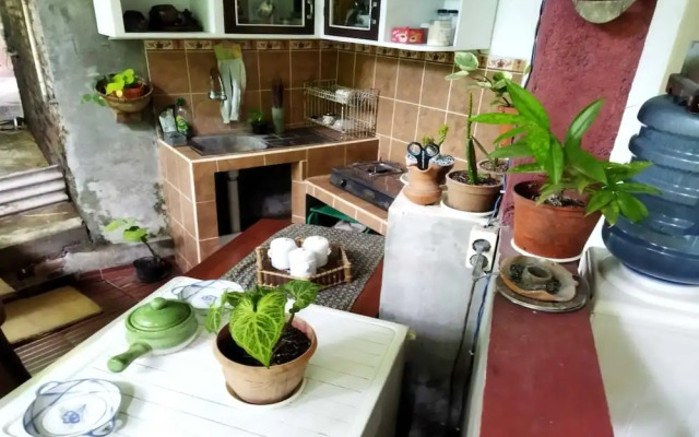 Borobudur Homestay Durian