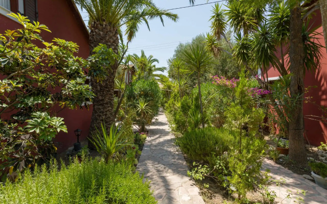 Garden of Eden Zante
