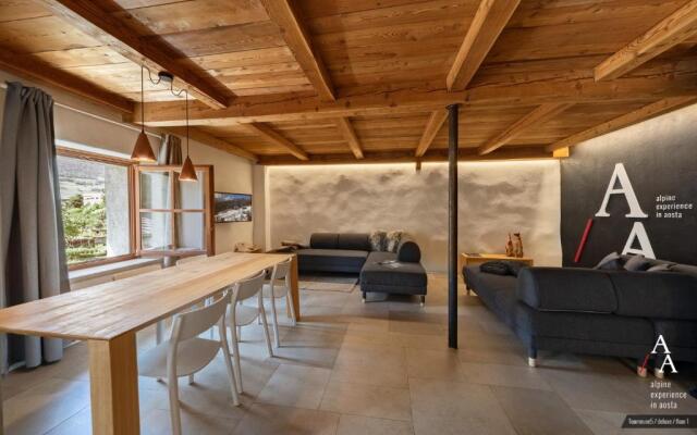 Alp Apartments - Tourneuve5