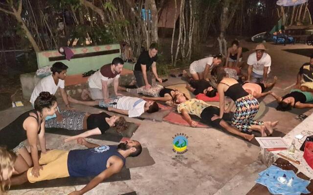 Lagarto Na Banana Hostel