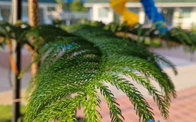 English Resotel Hotel