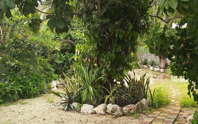 Casa Hostal Mamey - Hostel