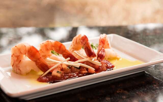 Hilton Chicago/Oak Lawn