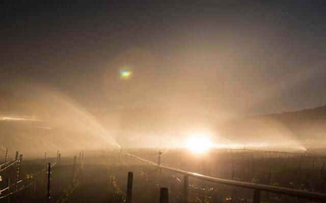 Hotel du Centre - Restaurant le Ptit Gourmet